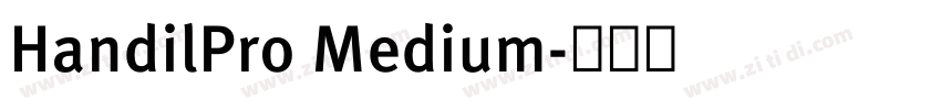 HandilPro Medium字体转换